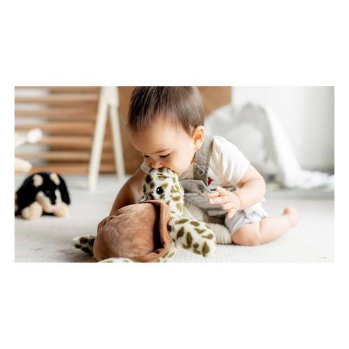 Warmies Microwavable Turtle - Primary Image